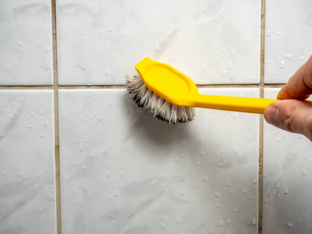 Best Fast Mold Removal  in La Croft, OH