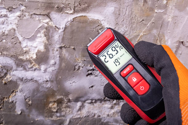 Best Toxic Mold Removal  in La Croft, OH