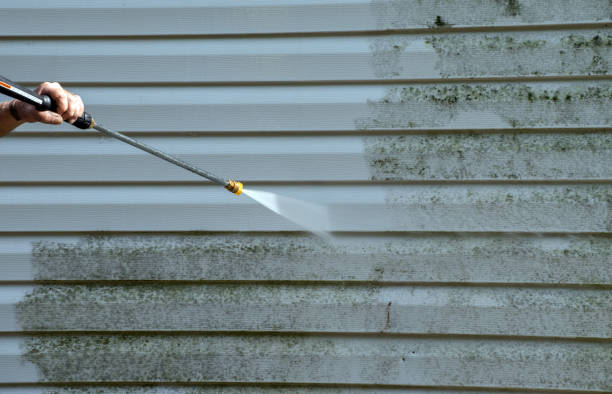 Best Attic Mold Removal  in La Croft, OH