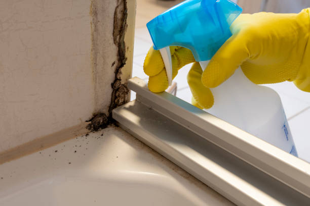 Best Mold Cleaning Services  in La Croft, OH