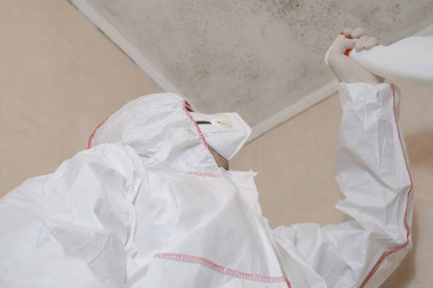 Best Office Mold Removal Services  in La Croft, OH