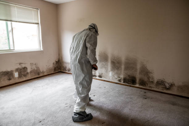 Best Crawl Space Mold Removal  in La Croft, OH