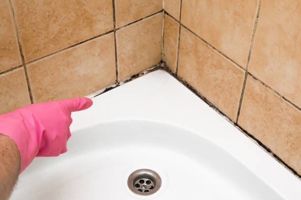 Best Professional Mold Removal  in La Croft, OH